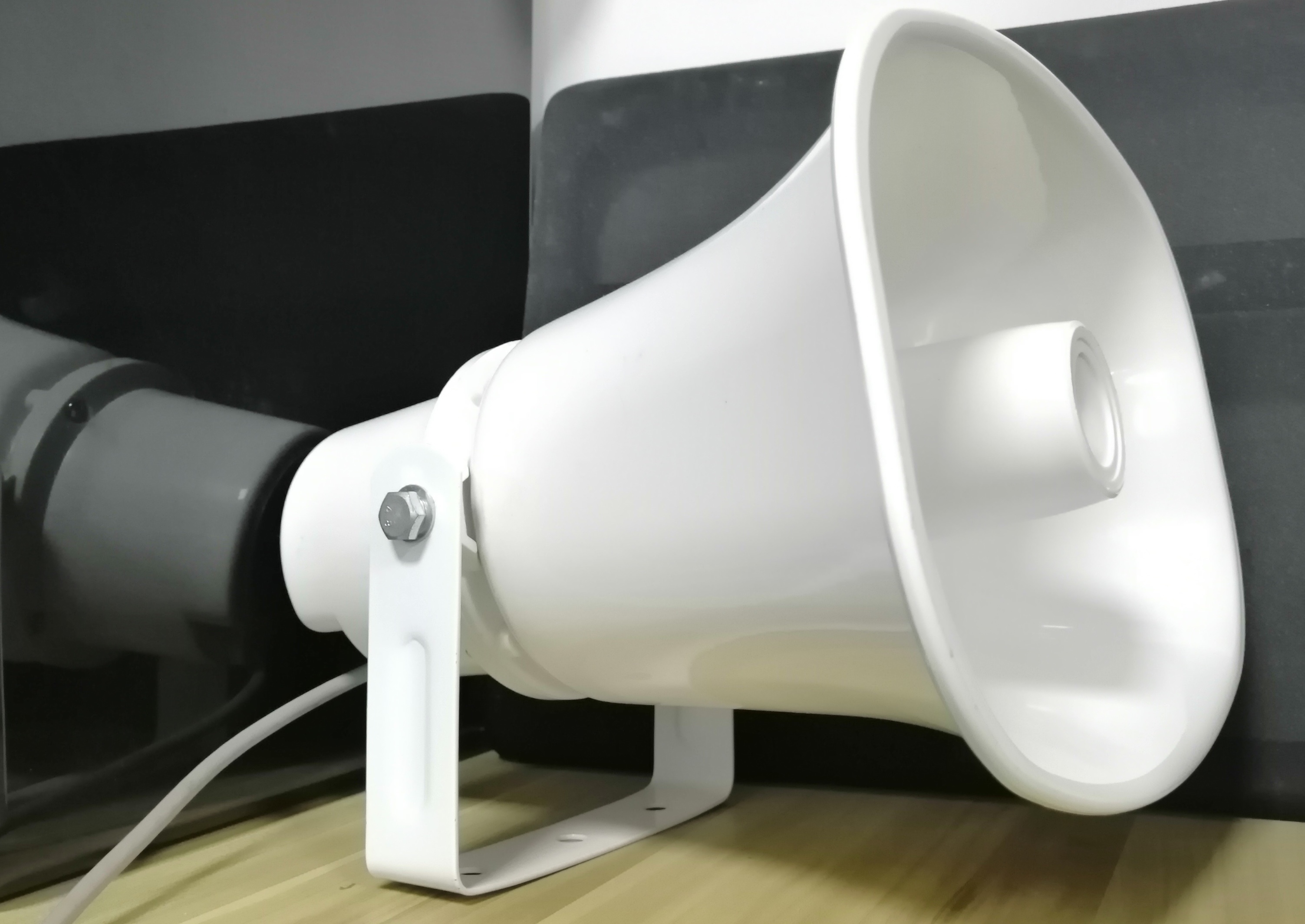 Głośnik horm PA - mówca nagłośnieniowy ip